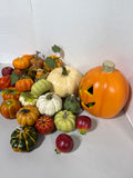 Fall Lot