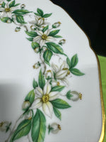 81-Piece Royal York Germany Orange Blossom China Set