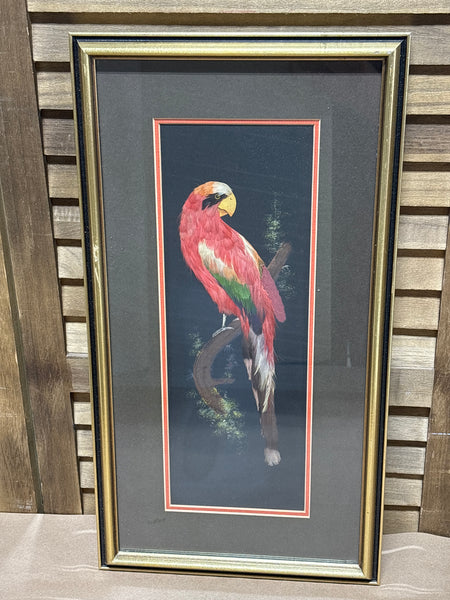 (A) Bird Made with Real Feathers