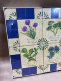 Herbs Pimpernel Placemats - Sealed - Set Of 4 (D)