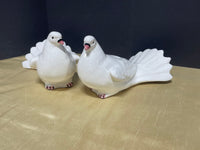 Jay Willfred (Andrea by Sadek) Pair of Doves