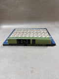 American Bird Books - Pair