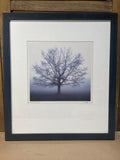 Awakening Print by Richard Calvo; Signed