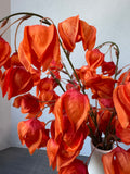 Faux Orange Chinese Lantern Flowers in Ceramic Vase