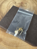 14K Gold Heart Leverback Earrings