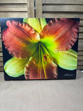 Photo of Lily on Canvas by Richard Reynolds; Signed