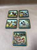 Pimpernel Duck Coasters - Set Of 5
