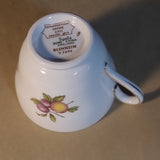 Spode Blenheim Tea Cup and Saucer