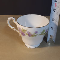 Paragon "Highland Queen" Silver Rimmed Floral Tea Cup and Saucer Set