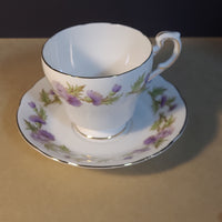 Paragon "Highland Queen" Silver Rimmed Floral Tea Cup and Saucer Set