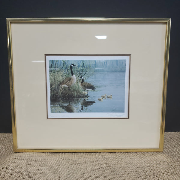 Geese in Spring Print by Don Li-Leger