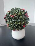 Small Faux Holly Berry Boxwood in White Ceramic Pot