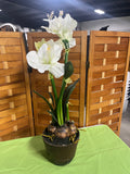 Faux White Amaryllis Flowers in Ceramic Pot (A)