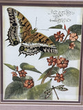Whimsical Butterfly II Print
