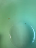 Fire King Jadeite Mixing Bowl (B)