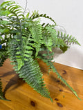 Artificial Potted Fern