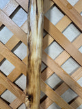Hand Carved Wooden Walking Stick with Airborne Division Insignia (D)
