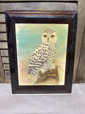Barn Owl Print Shellacked on Wood