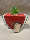 Watermelon Planter With Faux Cactus