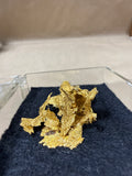 (A) Crystalized Gold Replicas In Case
