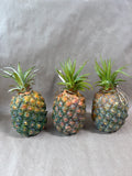 3 Piece Heavy Weight Pineapples