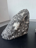 Pair of Polished Orthoceras Cephalopod Fossil Inlay Heavyweight Limestone Bookends