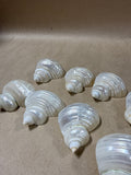 10-Piece Seashell Napkin Rings // 2 Sets Available // PRICED INDIVIDUALLY  (FF)