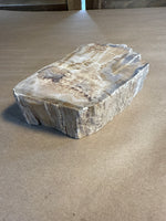 (A) Petrified Wood With Felt