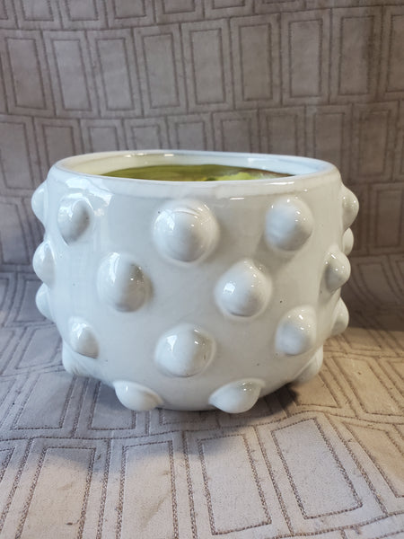 Round White Glazed Bubble Terra Cotta Planter