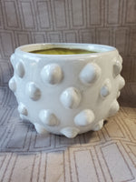 Round White Glazed Bubble Terra Cotta Planter