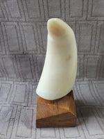 Scrimshaw Etched Faux Whale Tooth