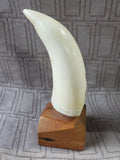 Scrimshaw Etched Faux Whale Tooth