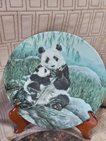 Set of 6 Decorative Signed Animal Plates