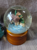 Pair of Snowglobes