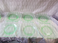 Set of 11 Vintage Cambridge Glass Green Depression Glass Salad Plates