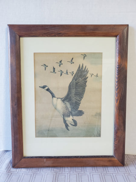 Vintage Flying Canadian Geese Print