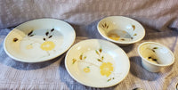 4 Piece Sonoma Lifestyle Mendocino Buttercup Dish Set