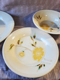 4 Piece Sonoma Lifestyle Mendocino Buttercup Dish Set