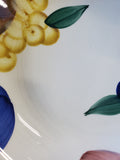 Dansk Fruit Pattern Pasta Bowl