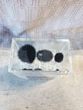 The Color Institute Brush Reflections Make-Up Brush Set UNUSED