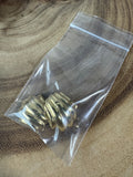 14K Gold Scalloped Shell Dome Clip Earrings