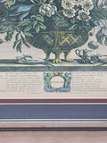 February Flowers of the Month Print by Fletcher