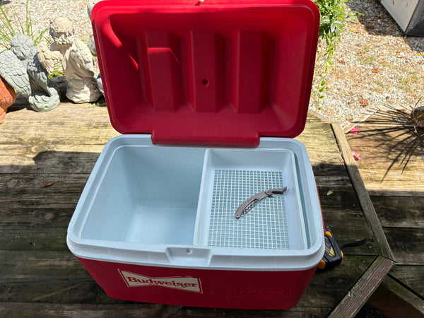 Rubbermaid Budweiser Cooler