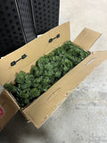 Holiday Time Pre-Lit 7 ft. Artificial Christmas Tree, Open box; Lights work