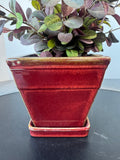 Faux Ruby Loropetalum in Brick Red Ceramic Pot