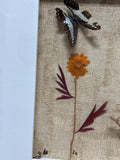 Butterflies & Dried Flower Shadow Box Style Art