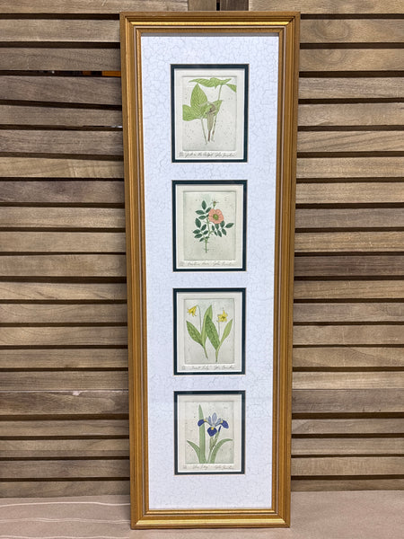 (B) Panel of Four Botanical Prints; Signed & Numbered - John Furches