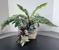 Artificial Greenery in Cream Embossed Ceramic Planter