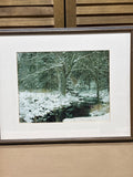November Snow Photograph by Barbara Gallagher; Signed