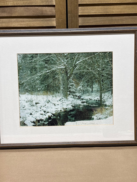 November Snow Photograph by Barbara Gallagher; Signed